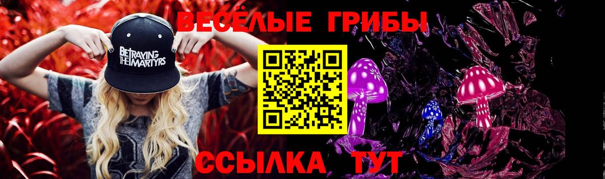 Галлюциногенные грибы Psilocybine cubensis  Вход с VPN  Галлюциногенные грибы ЛСД  Серов 