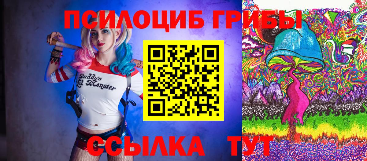 Псилоцибиновые грибы GOLDEN TEACHER Серов